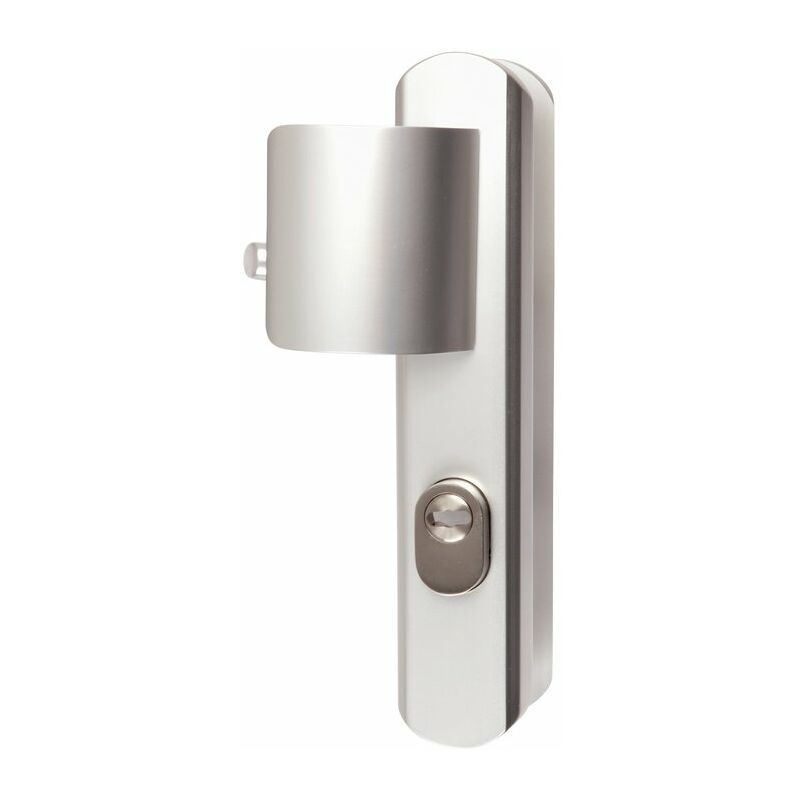 Vachette - Poignée de porte palière blindée - Secumax Gris argent - Clé i - 195 mm