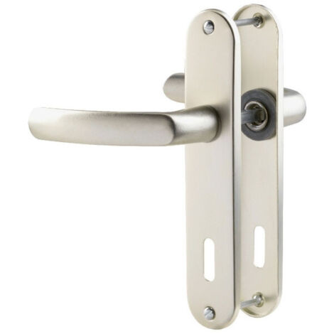 Poignée de porte sur plaque ARGENT- Clé L - Budget - Vachette