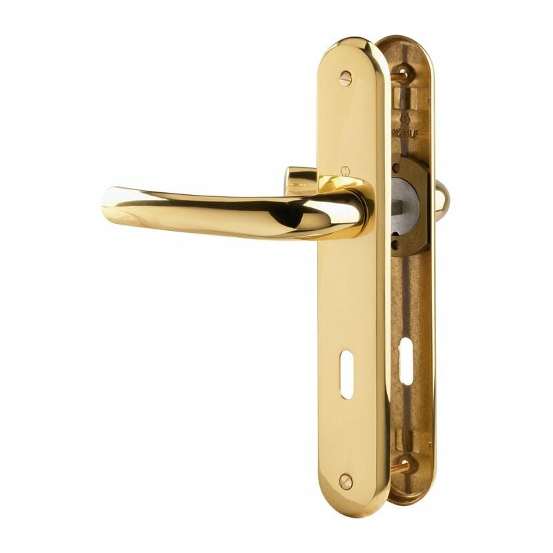 Hoppe Et Cie - Poignée de porte intérieure - Tokyo Doré - Clé l - 195 mm