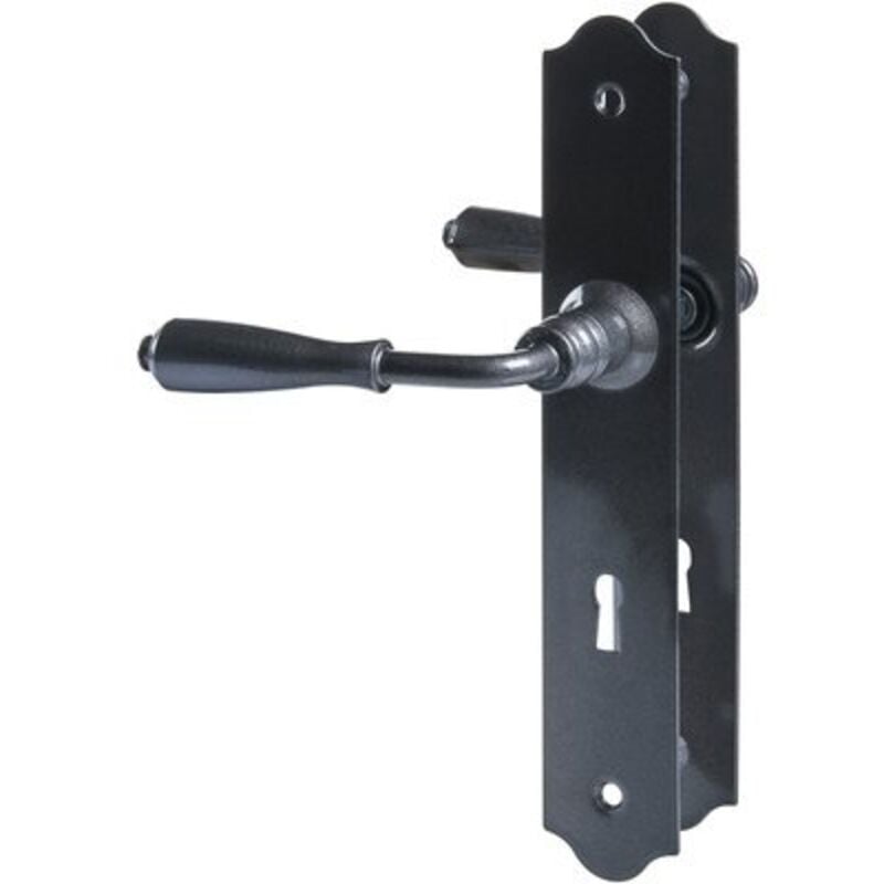 Poignée de porte intérieure - Vienne Brionne Grisé blanc - Clé l - 195 mm