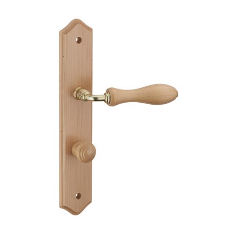 Thirard – Poignée de porte Themis à condamnation – Bois brut – Entr'axe 195mm – Acier 7mm – Vis métal sécables pour installation facile