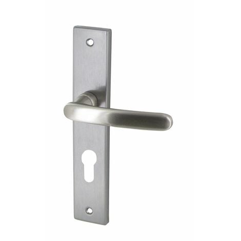 Poignée De Porte Zamak Satinée Biarritz Clé I - Cylindre - Dt2000