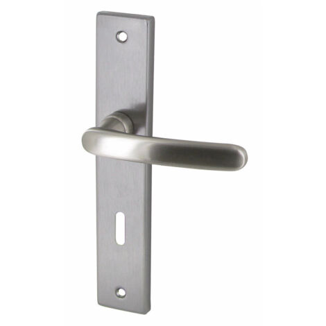 Poignée De Porte Zamak Satinée Biarritz Clé L - Dt2000