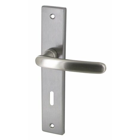 Poignée De Porte Zamak Satinée Biarritz Clé L - Dt2000