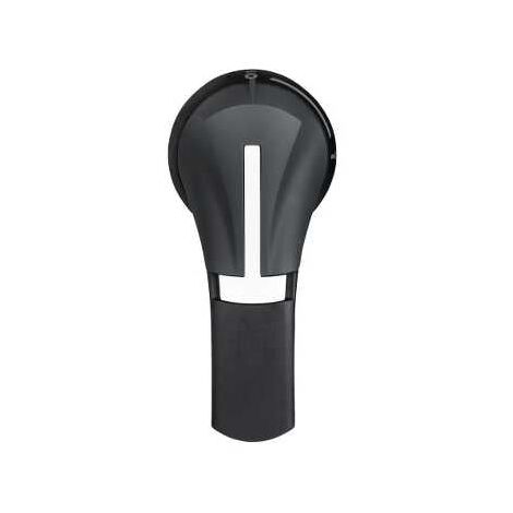 Poignee Ext Front 100..400A Ip55 Noire - GS2AH535
