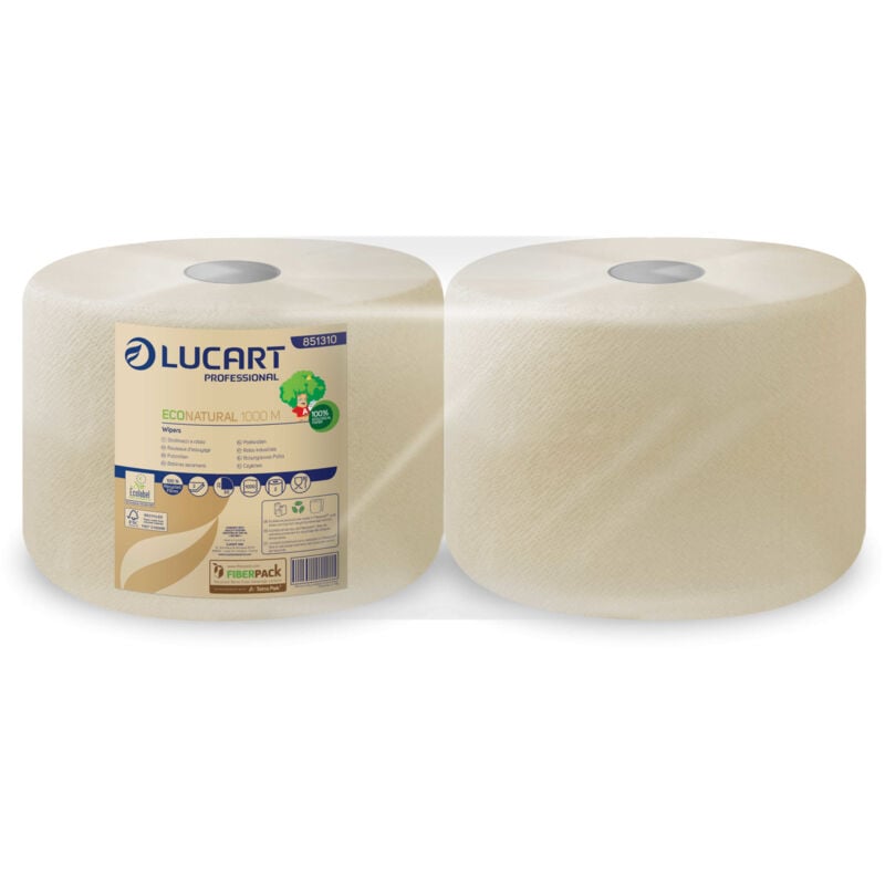 Bobine chamois 1000 formats le colis de 2 Lucart Essuie mains et distributeur