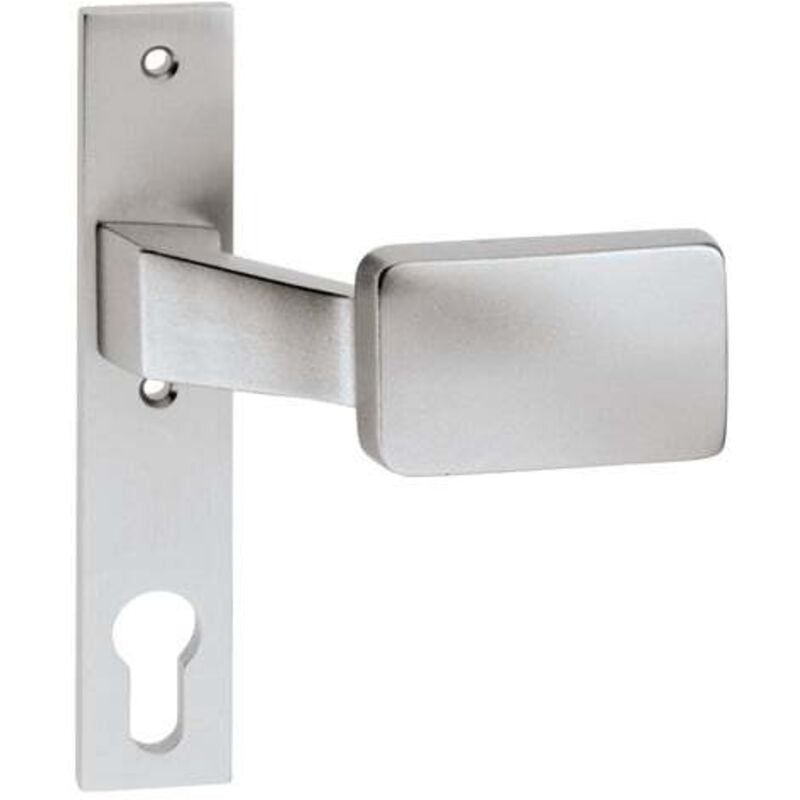 EDI - Poignée de boîtier de serrure 1317/1010 Logement en aluminium 8mm - 1317/1010/01