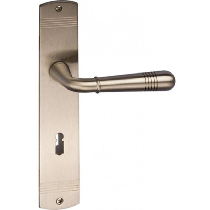 Poignée porte BB,Maybach S avec plaque longue ,Mattnickel