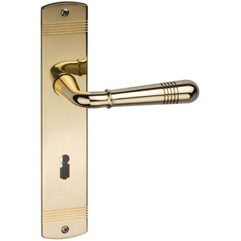 Poignée porte BB,Maybach S avec plaque longue ,Mess. pol.