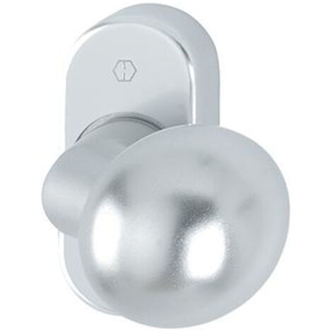 Poignée porte FS-PT -Knopf auf Ros. FS-50G/55 FEST2,F1