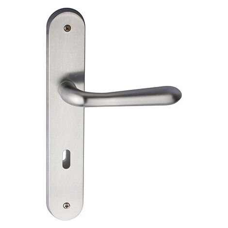 Poignée porte PZ,Betty S avec plaque longue ,Mattchrom