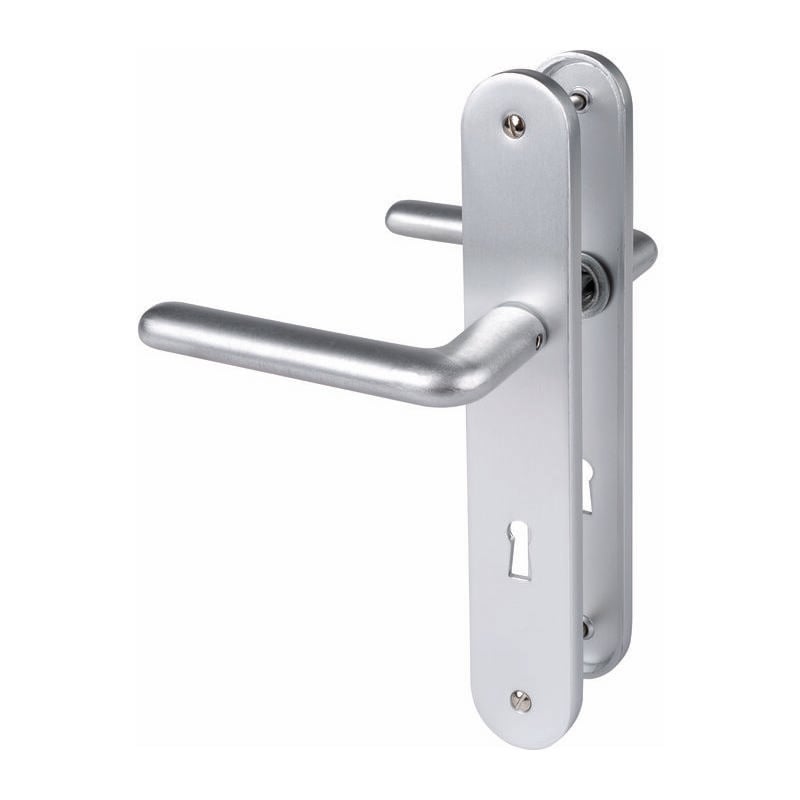 Poignée de porte intérieure - New camelia sup - Eurowale - Gris argent - Clé L - 195 mm