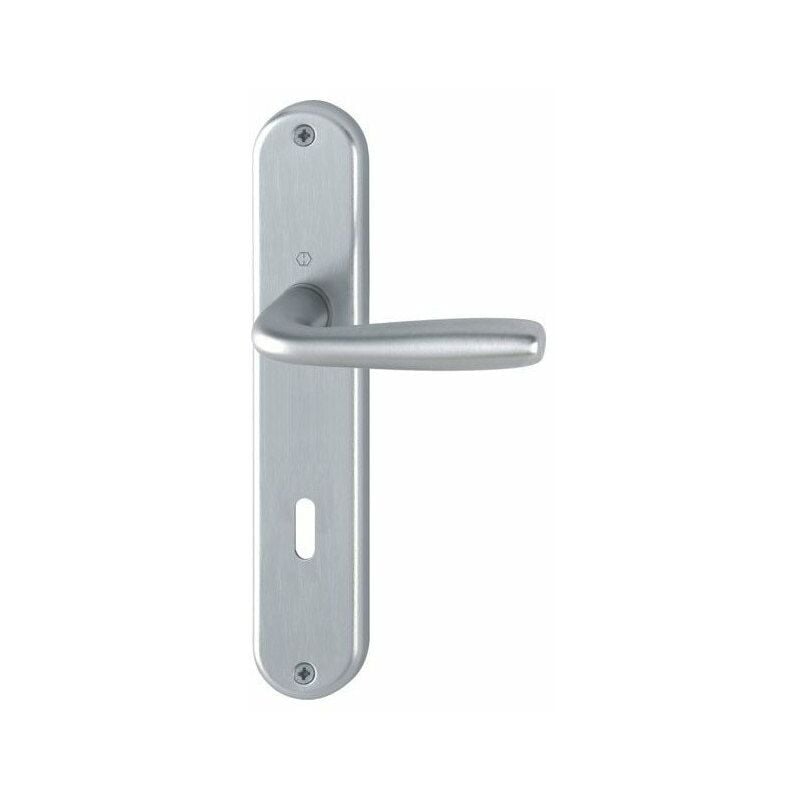 Finish - Poignee sur plaque maribor 1766-3022f94 alu satinue cle l