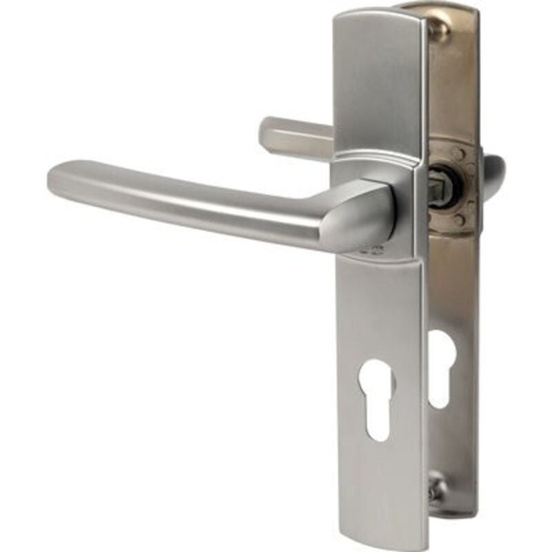 Bezault Sas - Poignée de porte d'entrée - Scult - Vachette - Gris - Clé i - 195 mm