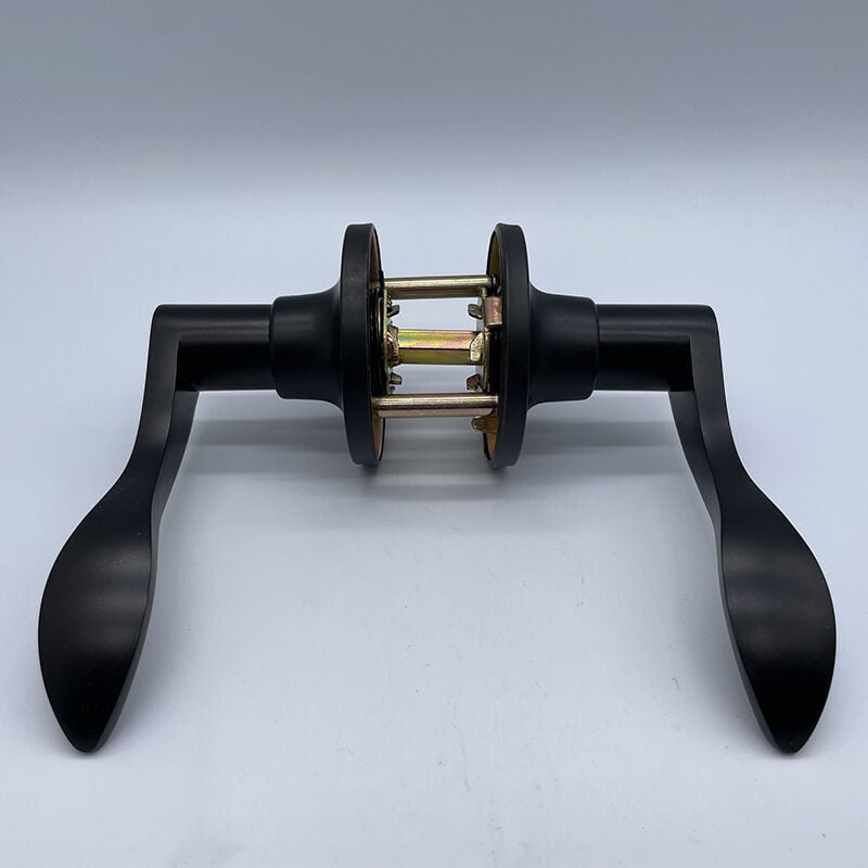 Linghhang - Poignées de porte à levier Poignée de porte d'intimité à levier pour salle de bains chambre [Classe énergétique a]