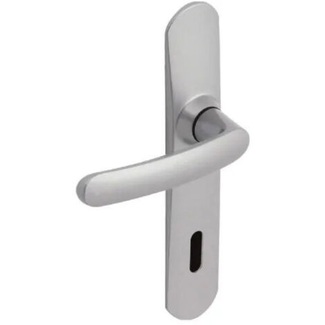 Poignées de porte avec plaque, entraxe 195 mm, clé L, chromées miroir