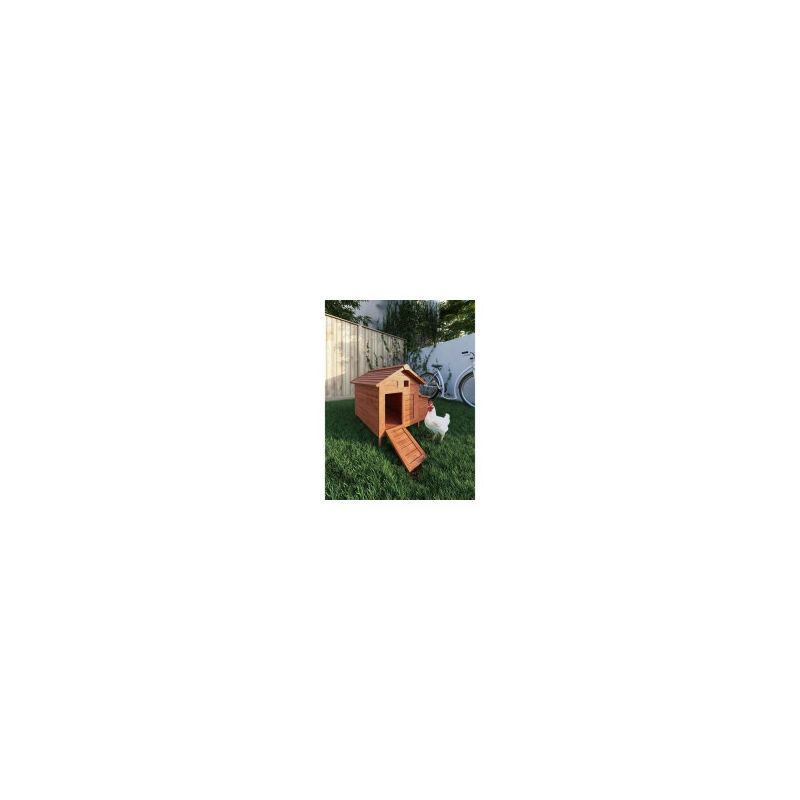 POILS + PLUMES Poulailler Didier en bois 2 poules - 89x70x93 cm