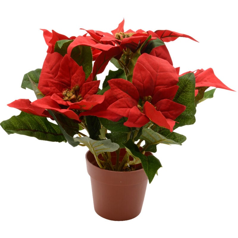 Poinsettia rouge en pot h. 27 cm