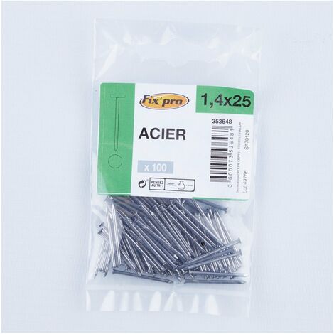Pointe Acier Tp 1,4x25 /100
