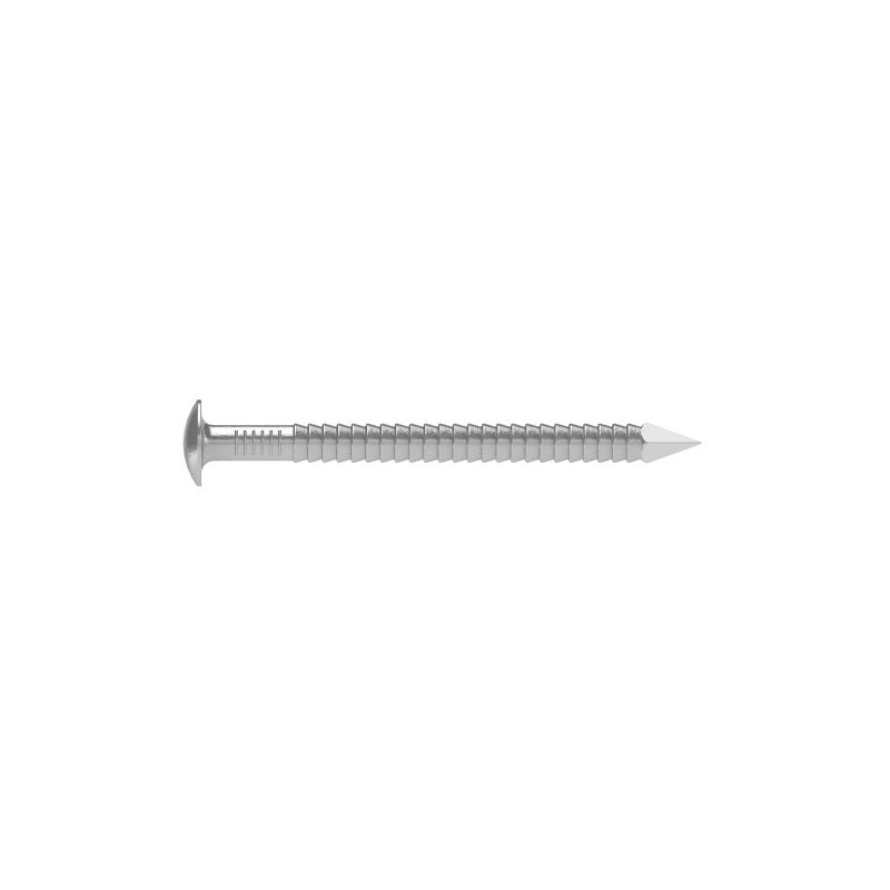 Simpson Strong Tie - Pointe annelée tête bombée - Inox A4 2.5x60mm - Boite de 250
