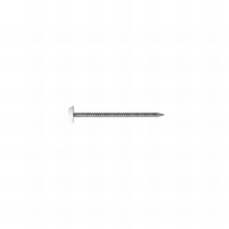Pointe annelee inox a4 tete blanche - 2x 40 - (bp 250) boite 250 pcs mm