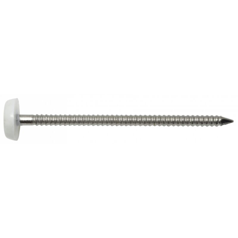 Pointe Inox A4 t. Plastique Blanc 200 pièces l : 65 mm l : 2 mm ∅ 3,1 mm dimensions : 65x3,1 mm