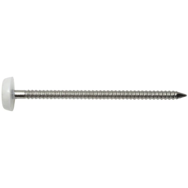 Pointe Inox A4 T. Plastique Blanc 200 pièces L : 50 mm l : 2 mm ∅ 2,5 mm dimensions : 50x2,5 mm