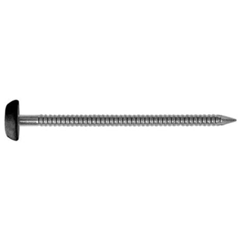 Pointe Plastop Tête Ronde inox A4 NORFIX annelée Gris Anthracite