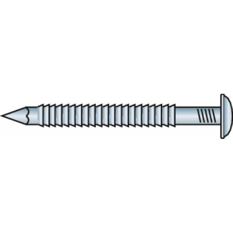 Pointes annelées tête bombée inox A2, diamètre 2,5 mm, longueur 45 mm, boîte de 1 kg Don Quichotte