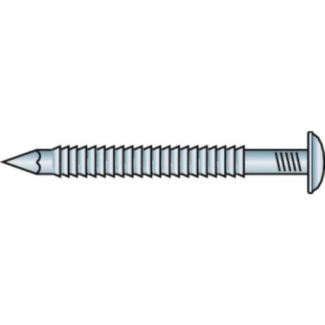 Pointes annelées tête bombée inox A2, diamètre 2,5 mm, longueur 60 mm, boîte de 1 kg - DON QUICHOTTE