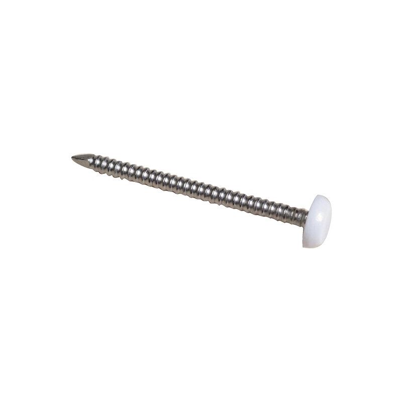 Pointes annelées Inox A4 tête plate surmoulée de pvc blanc ø 2 mm longueur 30 mm B250 Don Quichotte