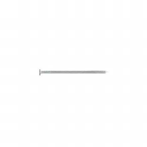 Pointes/clous tête plate ordinaire 2.0 X 35 mm 5kg mm