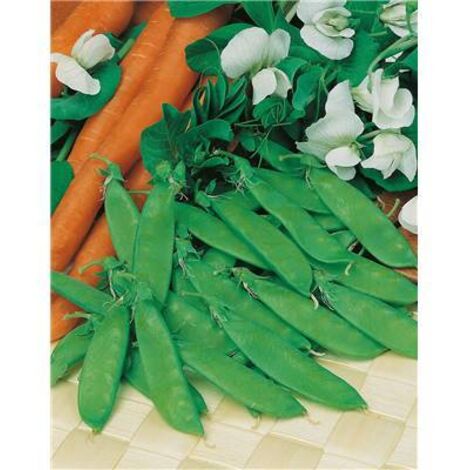 POIS CORNE DE BELIER - 150 G - GRIANES DE LEGUMES