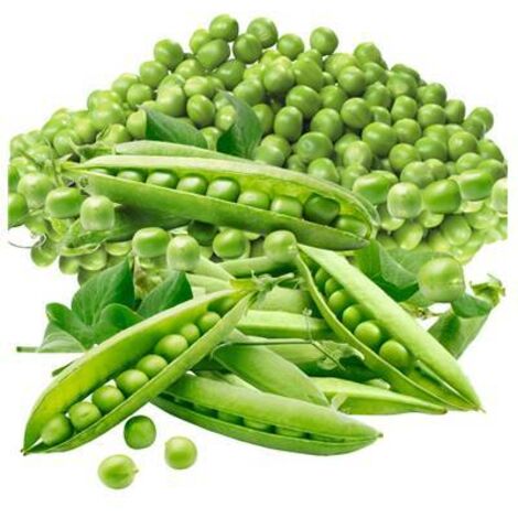 POIS PRECOVIL - 150 G - GRAINES DE LEGUMES