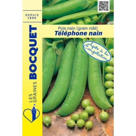 Pois Téléphone nain ( Onward )  - 200g