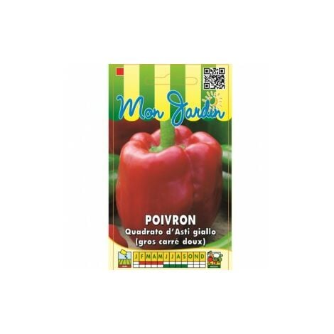 Poivron Quadrato d'asti Giallo ( poivron gros carré doux ) - 3g