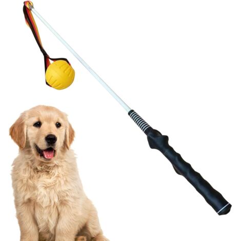 Pôle de Flirt pour Chiens, Poteau de Flirt de Chien  Puppy Teaser Wand