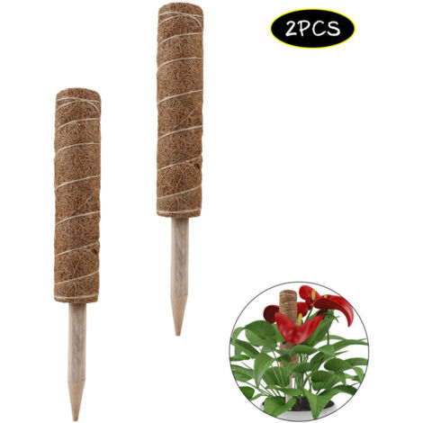 Pôle de Moss en Fibre de Coir Naturel - Tuteur Pour Plantes Grimpantes d'intérieur [30cm/35cm/40cm/45cm] - Support Solide avec Bois et Corde