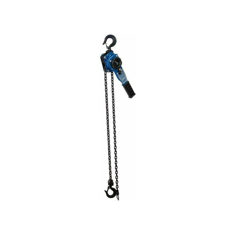 Polipasto Tractel Bravo 1.5m 1.5T