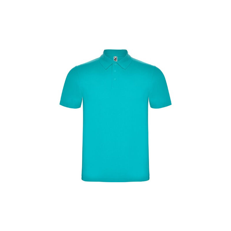 

Polo de manga corta, con cuello acanalado AUSTRAL PO6632 | L - Turquesa