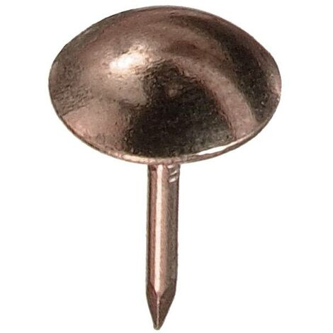 Polsternägel Ø 8,0 x 8,5 mm, 40 Stück Polsternägel