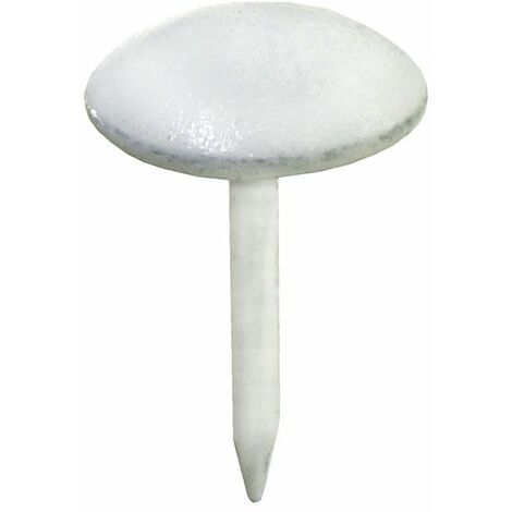 Polsternägel Ø 9,0 x 12,5 mm Rundkopf- & Polsternägel