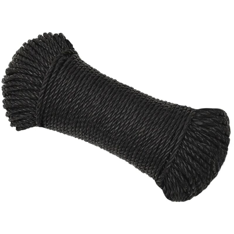 Arbeitsseil Schwarz 6 mm 500 m Polypropylen vidaXL