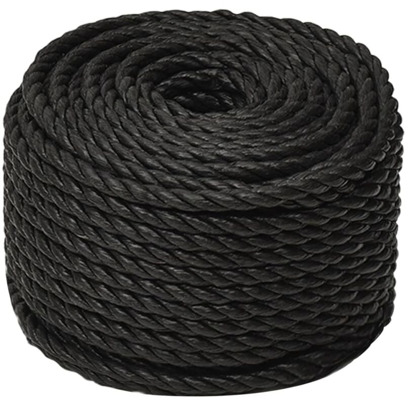 Vidaxl - Arbeitsseil Schwarz 10 mm 500 m Polypropylen