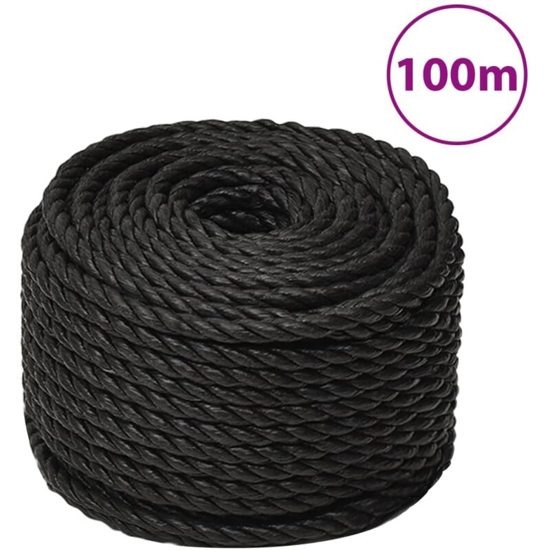 Arbeitsseil Schwarz 20 mm 100 m Polypropylen - Vidaxl
