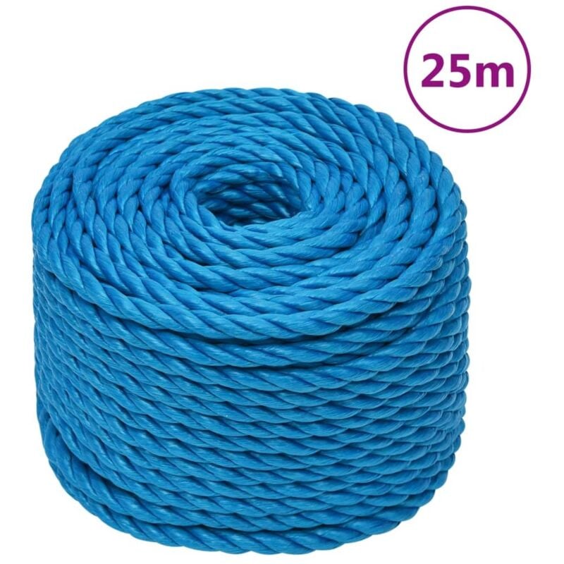 Arbeitsseil Blau 16 mm 25 m Polypropylen Vidaxl