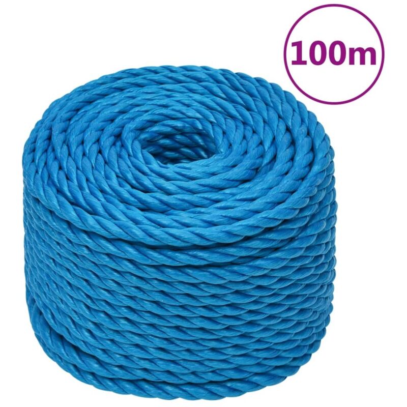 vidaXL Arbeitsseil Blau 20 mm 100 m Polypropylen