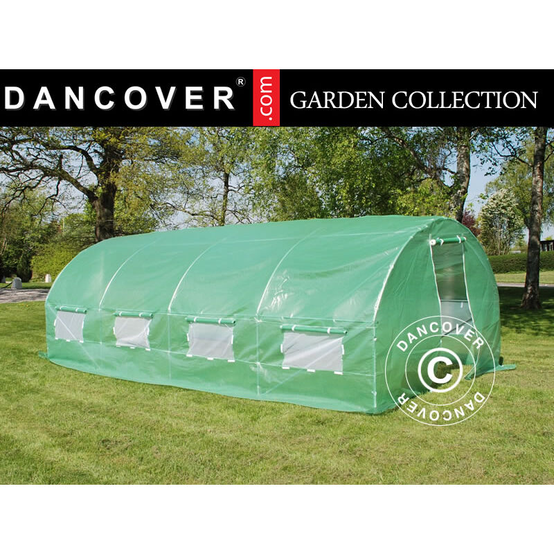 Polytunnel Greenhouse 3x8x2 m, 24 m², Green