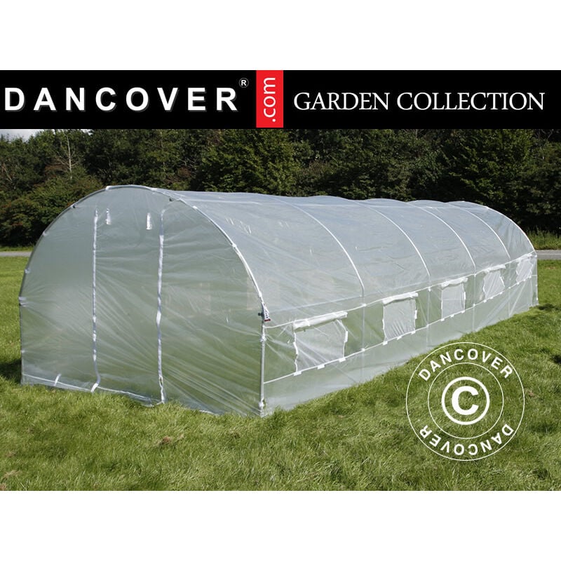 Dancover - Polytunnel Greenhouse 3x8x2 m, 24 m², Transparent