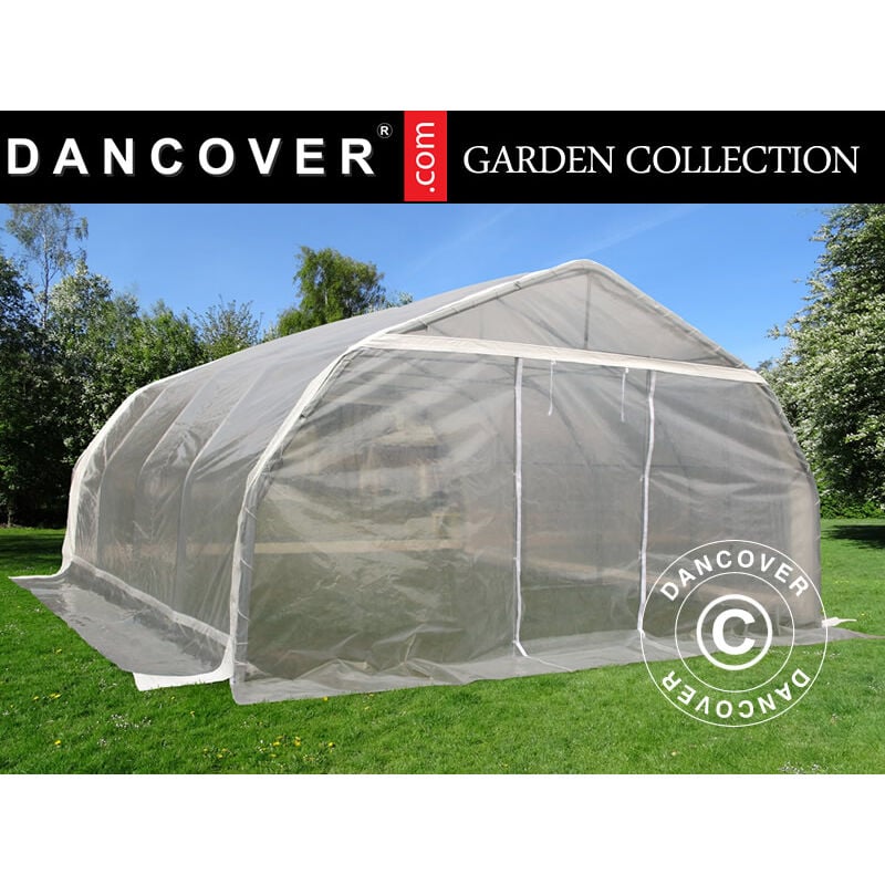 Polytunnel greenhouse, 5.4x6x2.9 m, PE, 32.4 m², Transparent